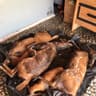 FAST LOCALS BUSHMEAT logo